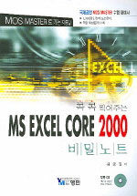 (콕콕 찍어주는)MS EXCEL CORE 2000 : 비밀노트