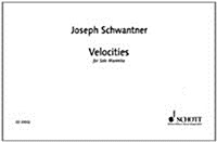 Velocities (Paperback)