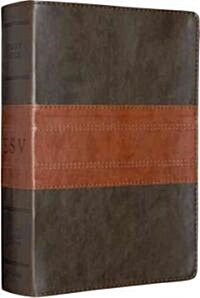 Study Bible-ESV-Trail Design (Imitation Leather)