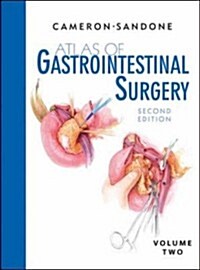 Atlas of Gastrointestinal Surgery (Hardcover, 2nd)