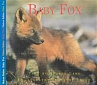 Baby Fox (Paperback)