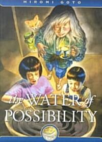 The Water of Possibility (Paperback)