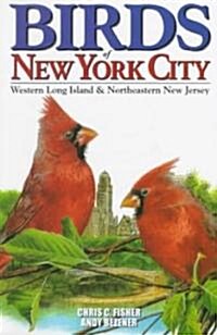 Birds of New York City (Paperback)