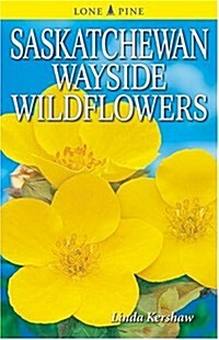 Saskatchewan Wayside Wildflowers (Paperback)