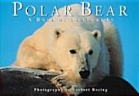 Polar Bear (Cards, GMC)