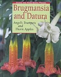 Brugmansia and Datura (Hardcover)