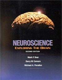Neuroscience : exploring the brain 2nd ed