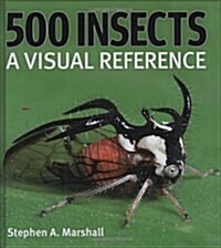 500 Insects: A Visual Reference (Hardcover)