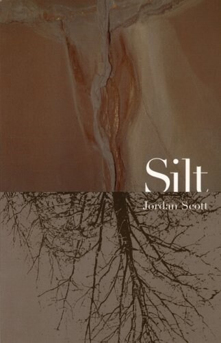 Silt (Paperback)