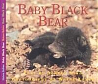 Baby Black Bear (Paperback)