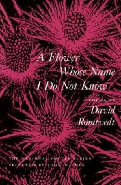 A Flower Whose Name I Do Not Know (Paperback)