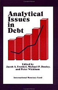 [중고] Analytical Issues in Debt (Paperback)