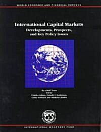 International Capital Markets (Paperback)