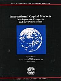 International Capital Markets (Paperback)