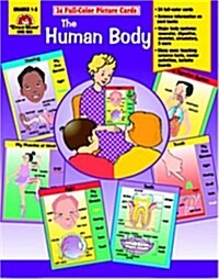 The Human Body (Paperback)
