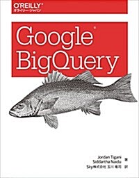 Google BigQuery (大型本)