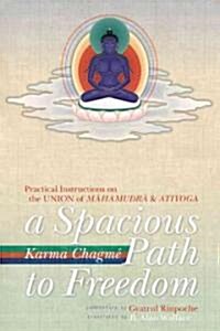 A Spacious Path to Freedom: Practical Instructions on the Union of Mahamudra and Atiyoga (Paperback)
