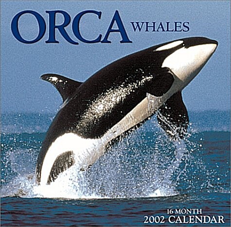 Orca Whales 2002 Calendar (Paperback, Wall)