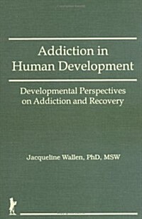 Addiction in Human Development (Hardcover)