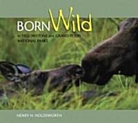 Born Wild in Yellowstone and Grand Teton National Parks (Paperback)
