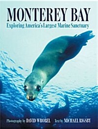 Monterey Bay (Paperback)