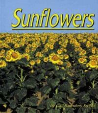 Sunflowers (Library)