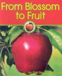 From blossom to fruit 표지이미지