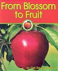 From Blossom to Fruit (Paperback)