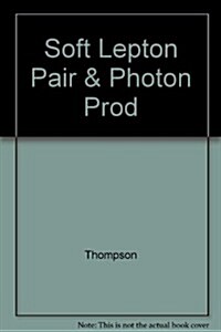 Proceedings of the Pittsburgh Workshop: On Soft Lepton Pair and Photon Production (Hardcover)