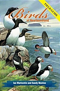 Birds of Newfoundland: Field Guide (Paperback)