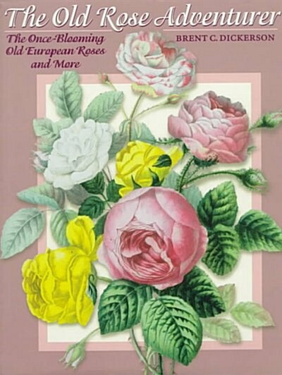 The Old Rose Adventurer (Hardcover)