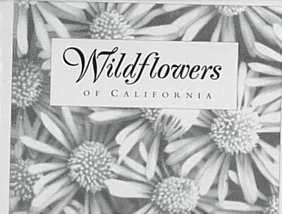Wildflowers of California (Hardcover)