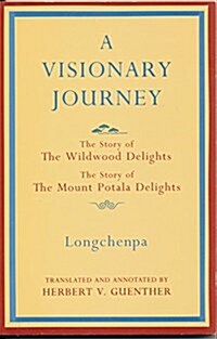 A Visionary Journey (Paperback)