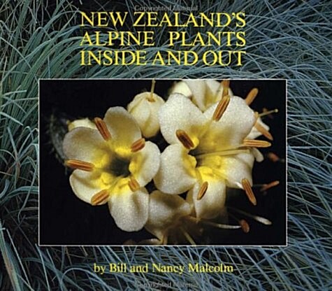 New Zealands Alpine Plants Inside and Out (Paperback, Reissue)