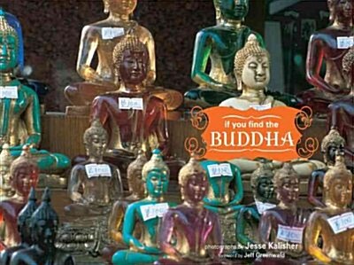 If You Find the Buddha (Hardcover)