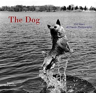 The Dog (Paperback)
