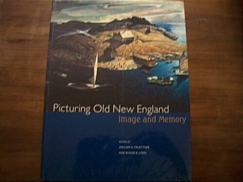 Picturing Old New England (Paperback)