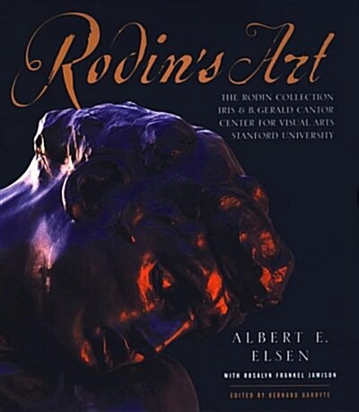 Rodins Art (Hardcover)