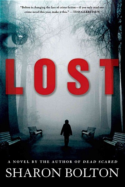 Lost: A Lacey Flint Novel (Paperback)