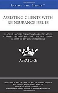 Assisting Clients With Reinsurance Issues (Paperback)