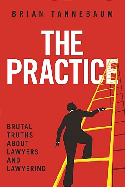 [중고] The Practice: Brutal Truths about Lawyers and Lawyering (Hardcover)