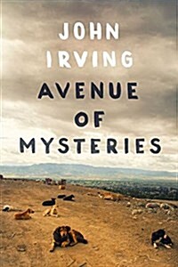 [중고] Avenue of Mysteries (Hardcover)
