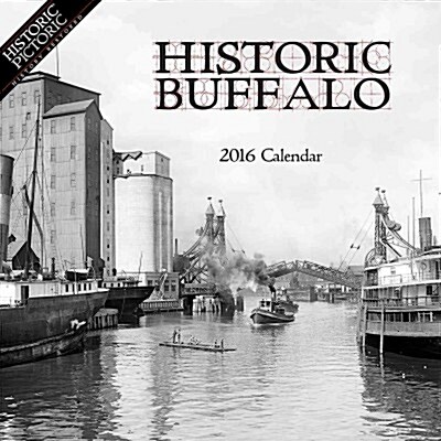 Historic Buffalo (Wall, 2015-2016)