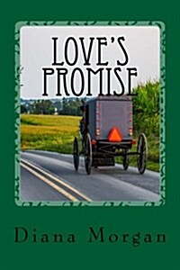 Loves Promise (Paperback)