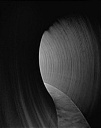 Richard Serra 2014 (Hardcover)