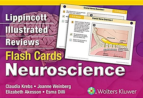 Lippincott Illustrated Reviews Flash Cards: Neuroscience (Other)