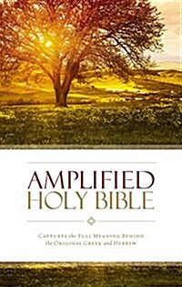 Amplified Bible-Am: Captures the Full Meaning Behind the Original Greek and Hebrew (Hardcover)