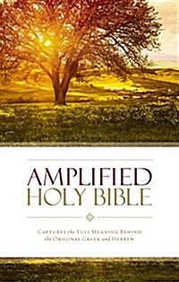 Amplified Bible-Am: Captures the Full Meaning Behind the Original Greek and Hebrew (Paperback)