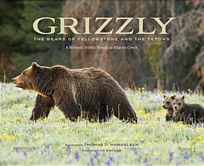 [중고] Grizzly: The Bears of Greater Yellowstone (Hardcover)