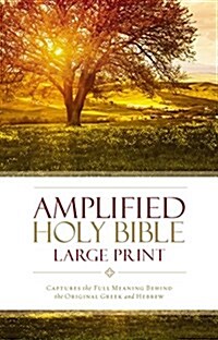 Amplified Bible-Am-Large Print: Captures the Full Meaning Behind the Original Greek and Hebrew (Hardcover)